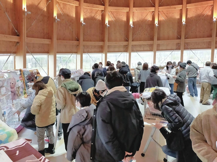 【終了まであと8日！】新潟市動物愛護センターの取組み紹介