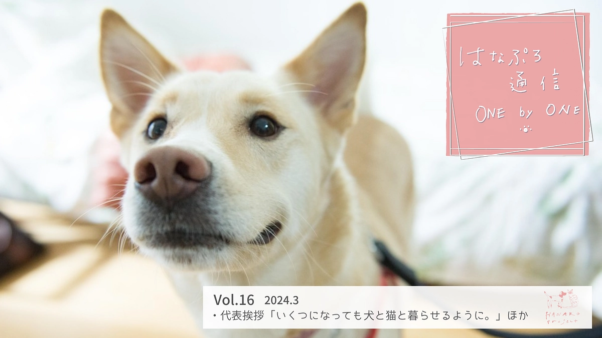 「はなぷろ通信 one by one」Vol.16