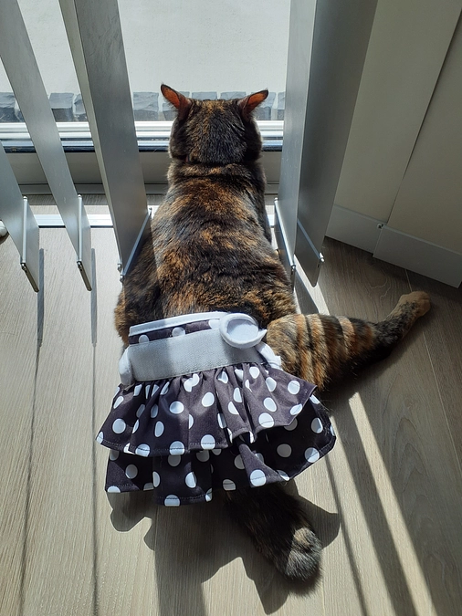 イオン黄色いレシートとPanasonic譲渡会のご報告