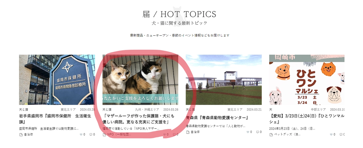 【目指せ第二目標500万円】マザールーフのプロジェクトが「わんにゃんネット」さんに紹介されました！