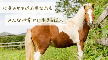 馬のための場所を守りたい。心身のケアが必要な馬達にも幸せな生涯を のトップ画像