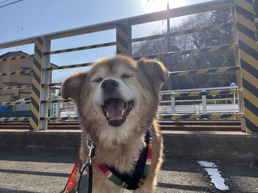 2024年1月・2月の収支報告