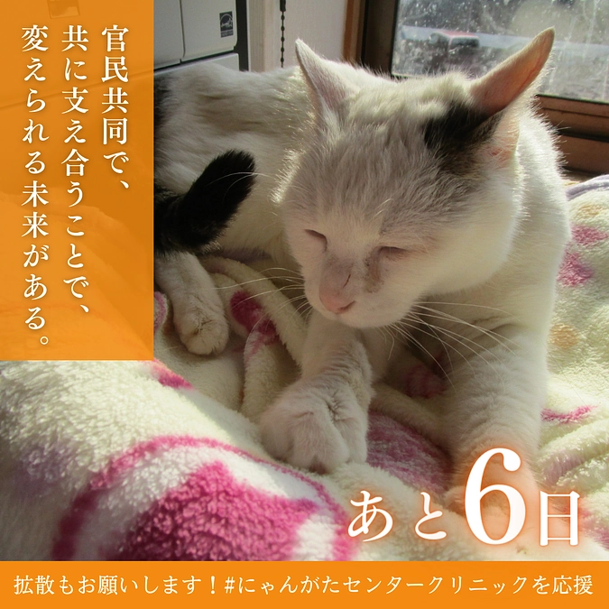 動物愛護センターってどんなところ？