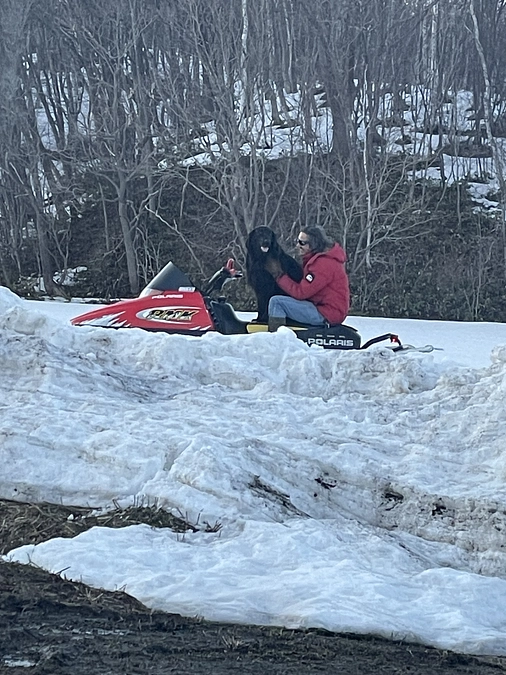 沢山のかたが採取のお手伝いに・・・