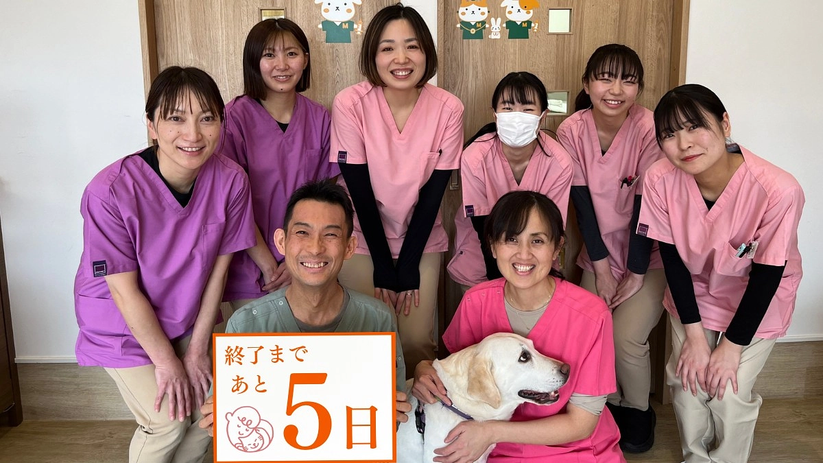 【終了まであと5日！】新潟市獣医師会　森谷幸嗣さんからの応援メッセージを紹介します