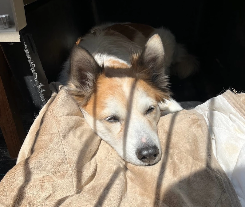 ダメ元で助成金に応募しました