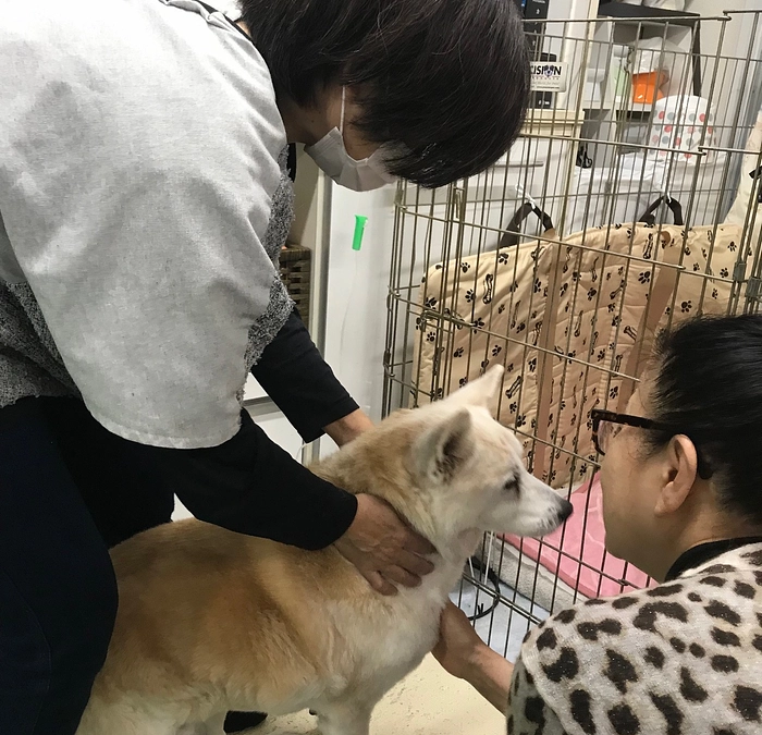 【本日最終日！第二目標500万円！】最終日に起こった出来事と今の気持ち。最後まで応援お願いします