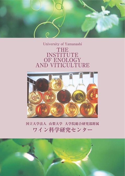 ワイン科学研究センターの中身は？