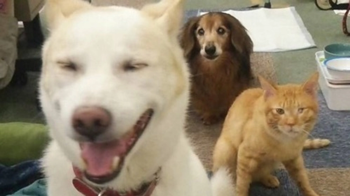 【残りあと6日！目指せ25日までに200万円！】皆様とご一緒に達成のゴールテープを切りたい！