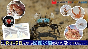エビとカニの水族館｜生物多様性を学ぶ図鑑水槽をみんなで作りたい！ のトップ画像