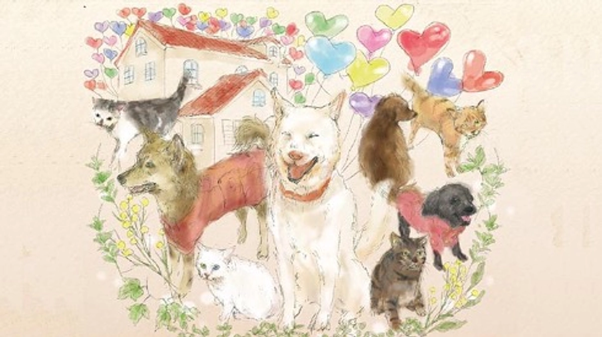 【残り5日！28日までに目指せ250万円！】NPO法人マザールーフについて改めてご紹介します！