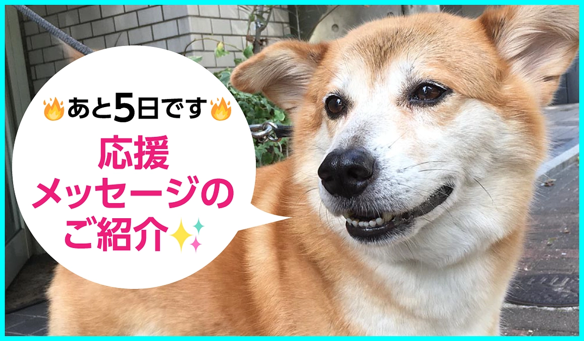 【残り5日！28日までに目指せ250万円！】ありがとう！応援メッセージのご紹介をいたします！
