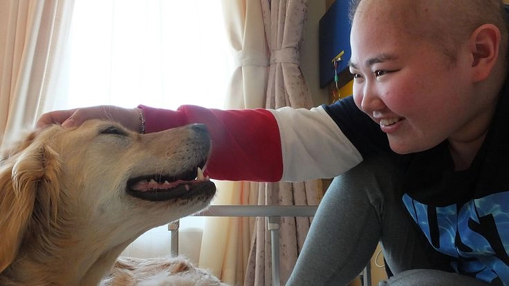 ファシリティドッグの寄り添いを未来へつなぐプロジェクト2021