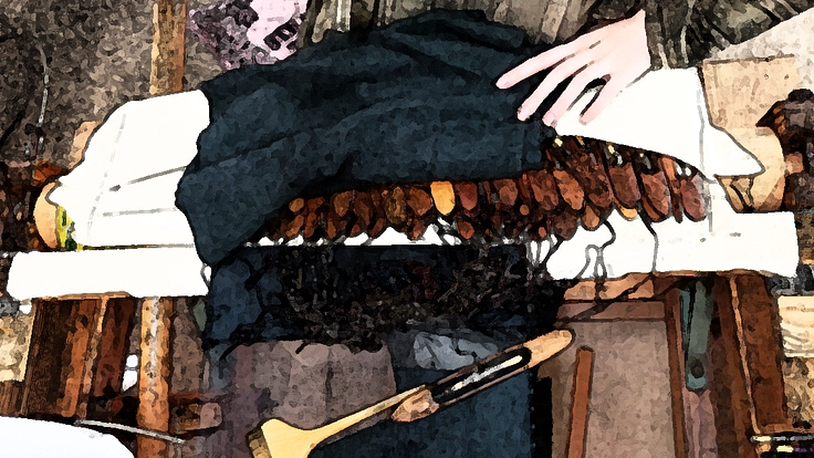 名もなき伝統文化の高齢の職人（職工）さんの生活援助