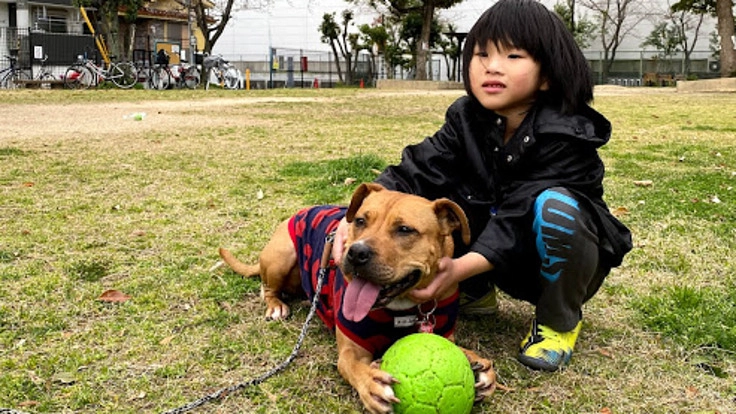 犬の心を学び、動物も人も思いやることのできる学習ワークブックを