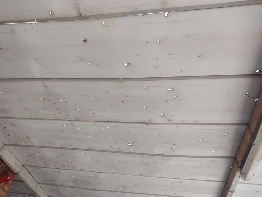 【３０年目。】