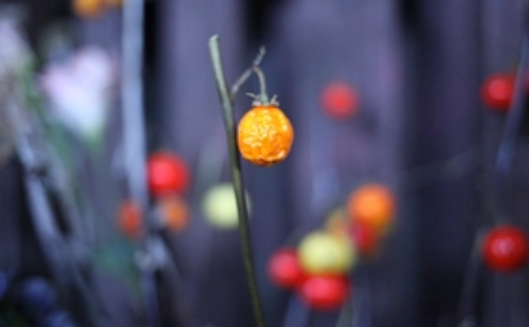 【リターン不要向け】お気持ちコース3千円