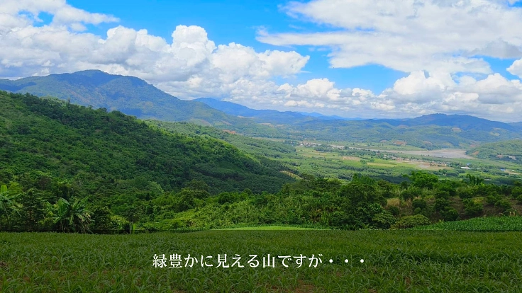 森を守ることは、生活と文化を守ること。タイの森再生プロジェクト 5枚目