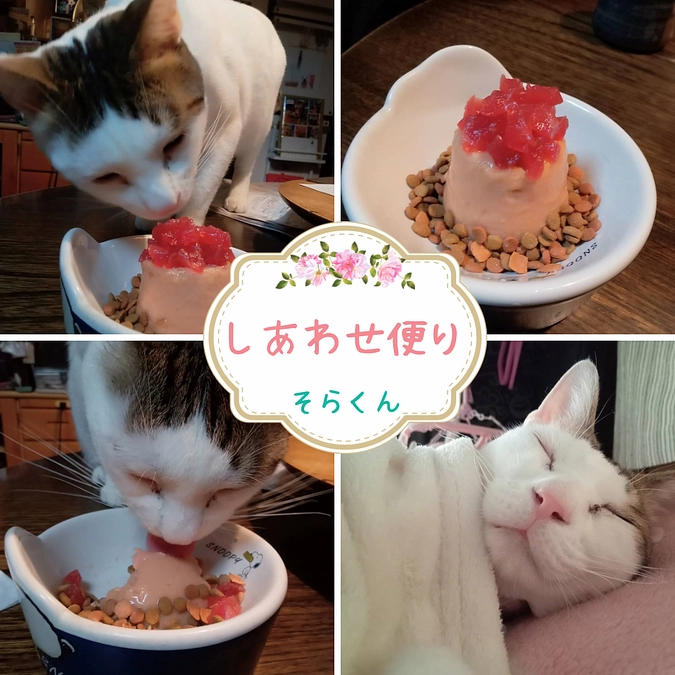 🍀しあわせ便り🍀