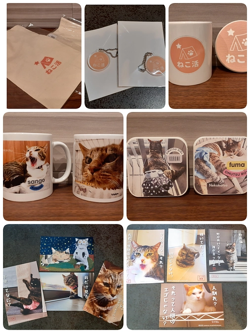 27、28日の東京・有明開催のパナソニック譲渡会のグッズについて