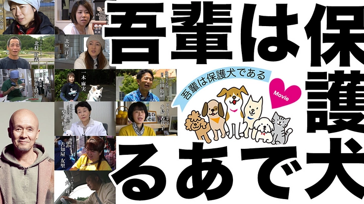 映画『吾輩は保護犬である』完成!映像の力で命の尊さを全国に伝えたい 2枚目