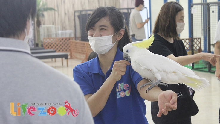 #動物とふれあう癒しの機会|屋内型動物園LIFE ZOO無料開放へ