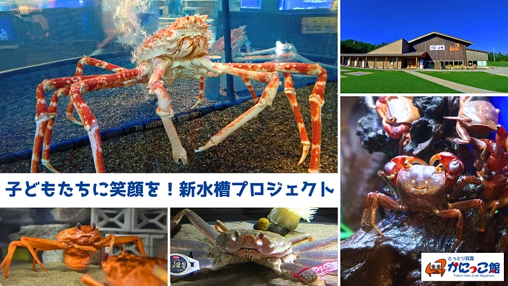 かにっこ館|ふれあう楽しさをもっと届けるために、体験用水槽の購入を