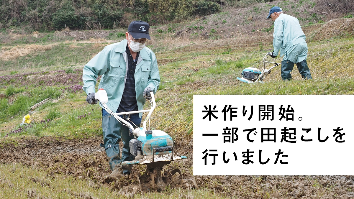 クラファンも明日まで。田起こし作業を行いました