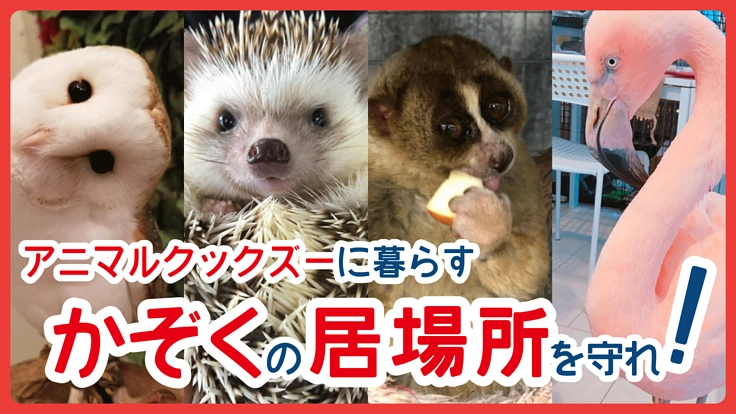 33種類50匹の生き物からのヘルプ！仲良く暮らす居場所を守りたい！