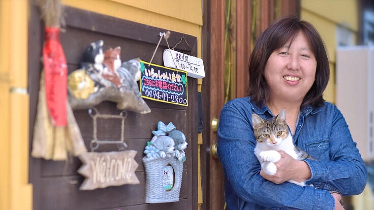 野良猫たちのTNRをする為の診療所を作りたい