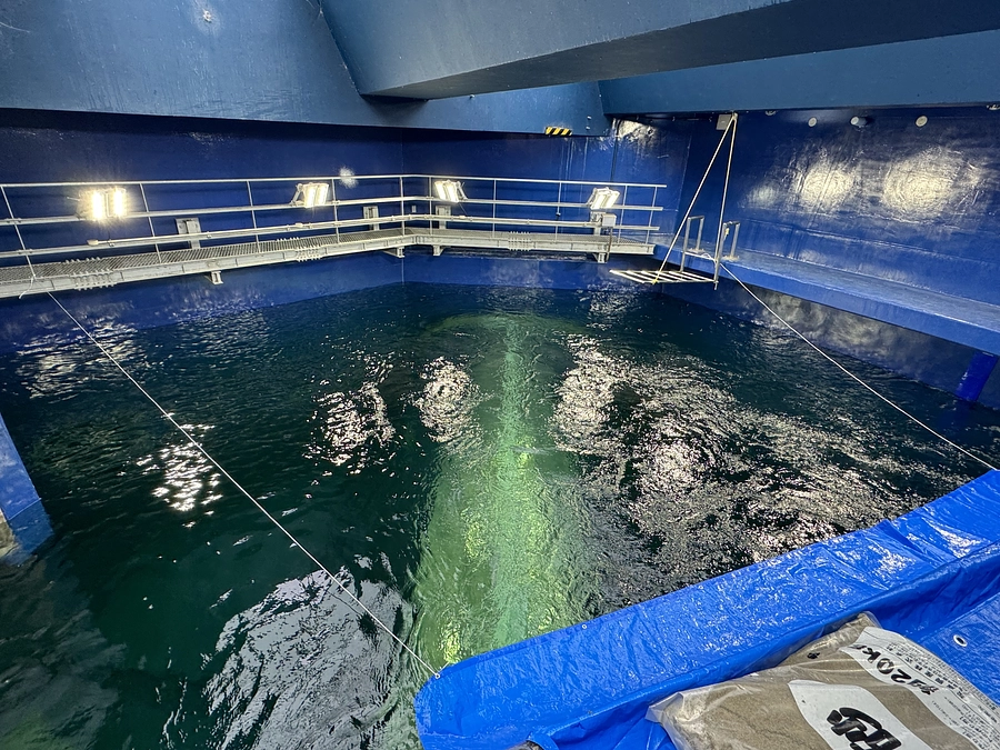 4月23日（火）～トンネル水槽が再開します