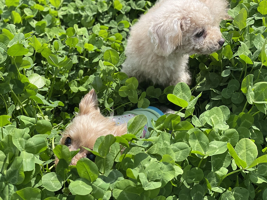 本日も沢山の方にお集まり頂き、ありがとうございました！次回は5/26（日）AMです！