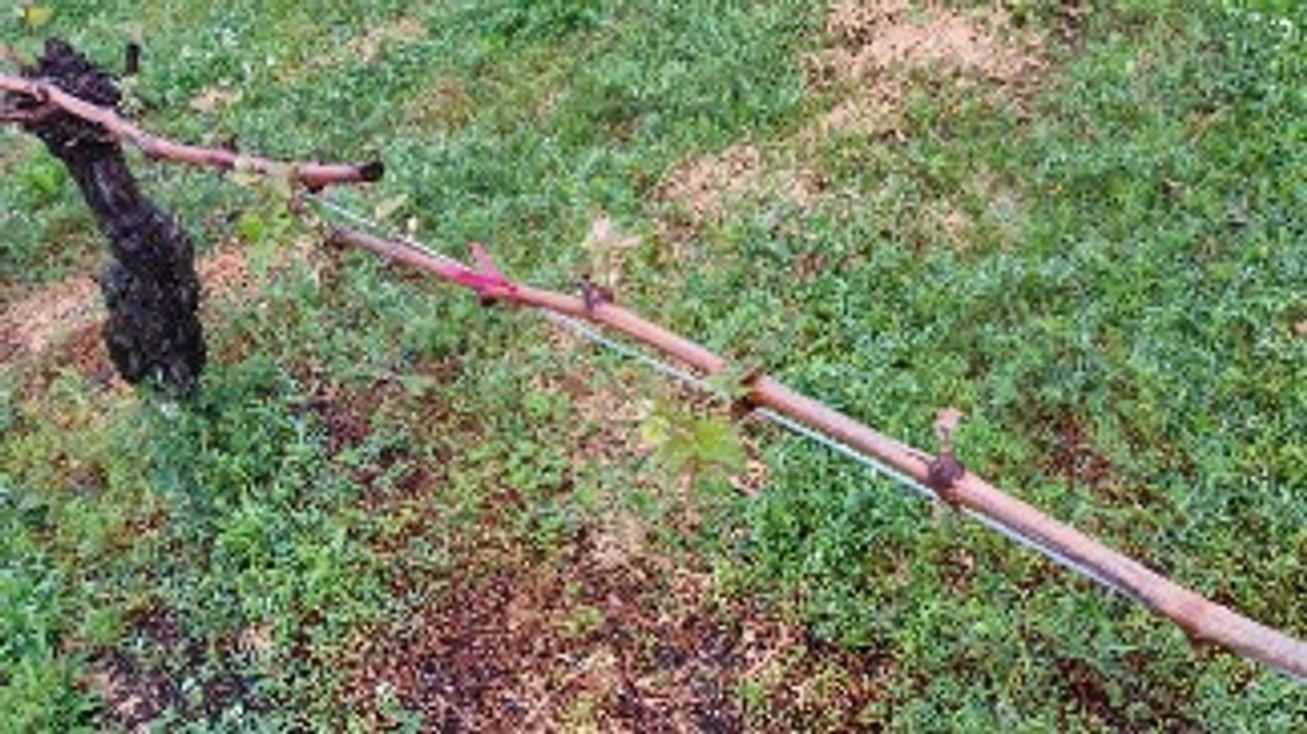 公開3週間を終え