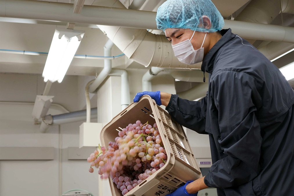 新聞に掲載されました