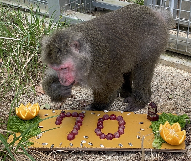 【クラファン活動報告⑳】70%達成！