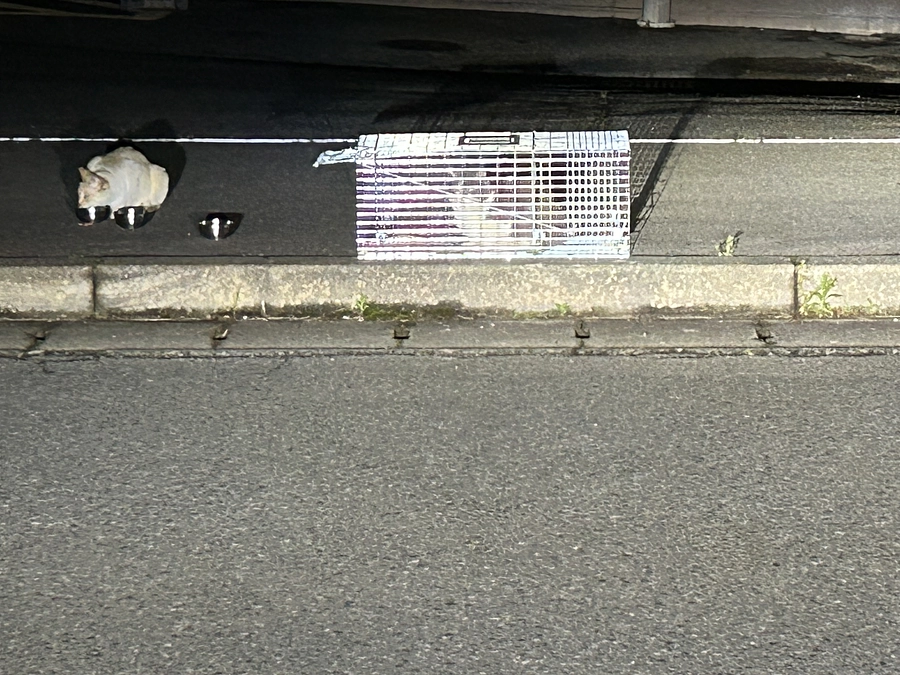 活動地域のこれから