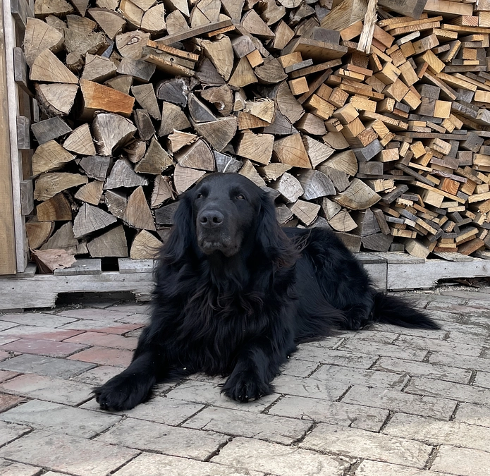 いよいよ片付け準備・・・