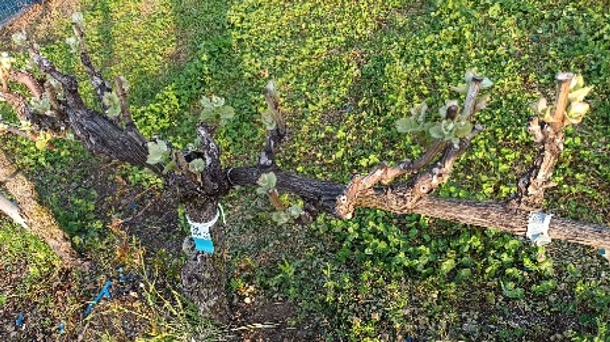 公開2週間を終え