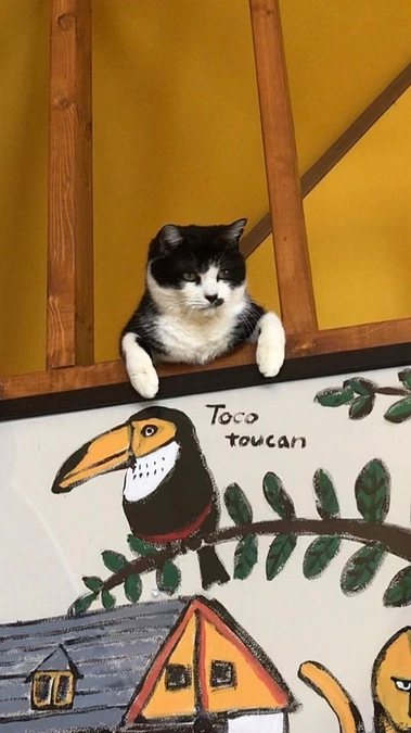 25日間で50名以上のお申し込み！【目標250名！Readyfor継続寄付】