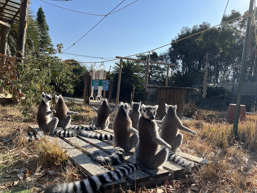 【クラファン活動報告⑪】WaoランドのKA暖房達成!!そして、現在のWaoランドの暖房事情