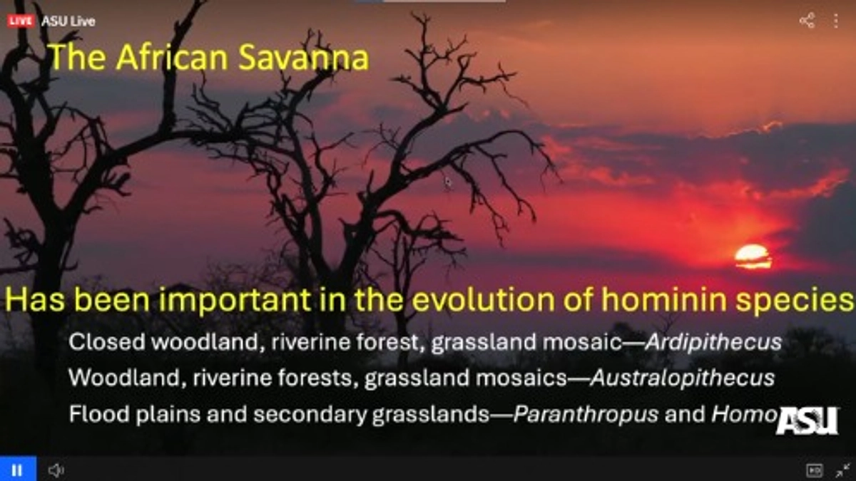 化石がどこで発見されたかよりも、どこでなぜ進化が起きたのかが大切