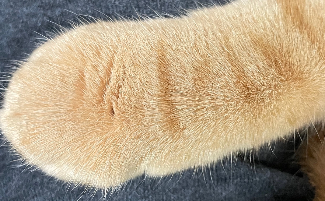 オリジナルカレンダー