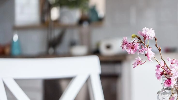 考えない数学  科学者がたくさん生まれたら、子供たちの未来は面白い