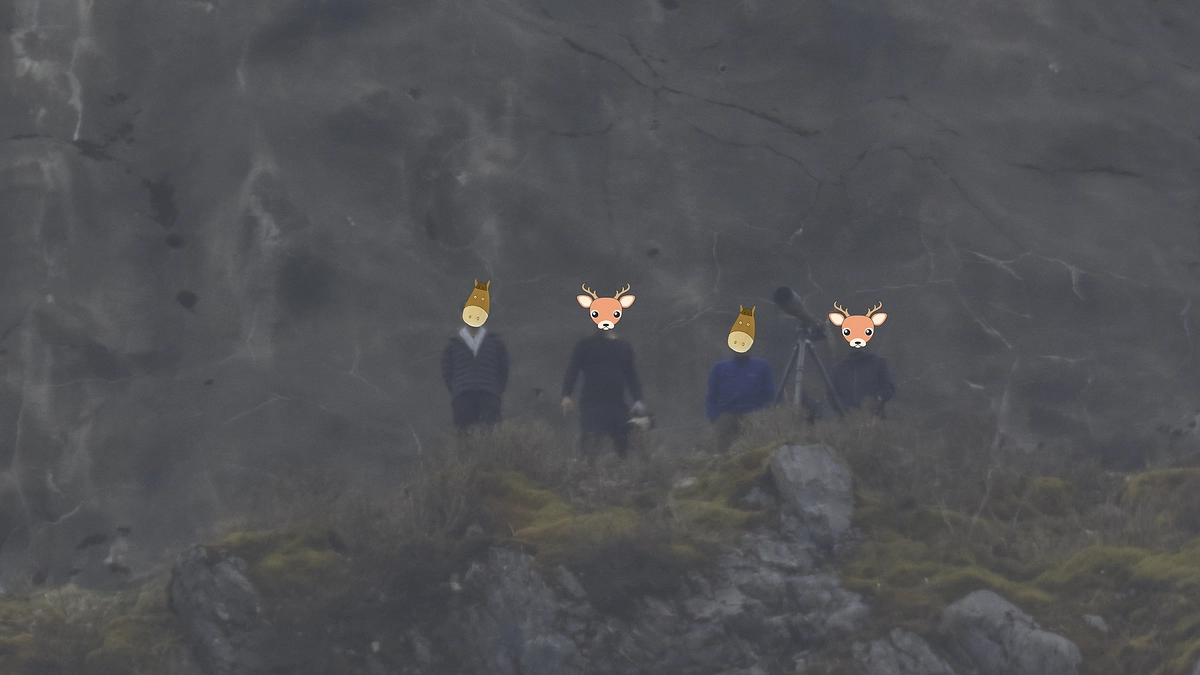 「巣に近づかないで」という報道を見て巣に近づくカメラマン4人（2024/4/18）