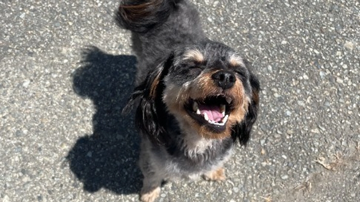 優音（うた）キャリアチェンジしました！