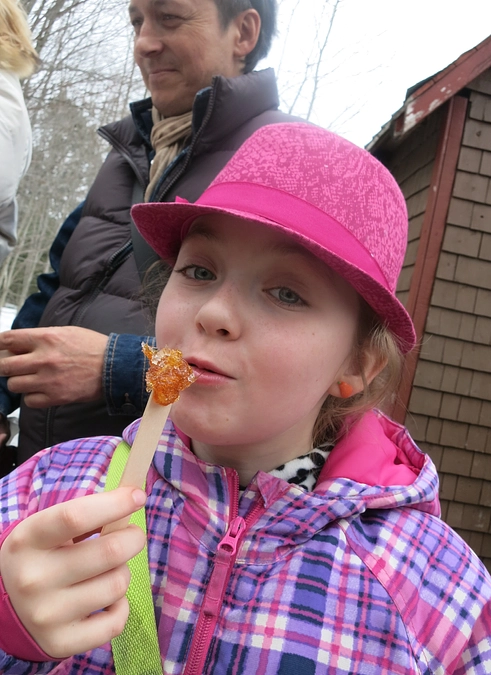 北海道メープル春のフェスタお知らせ