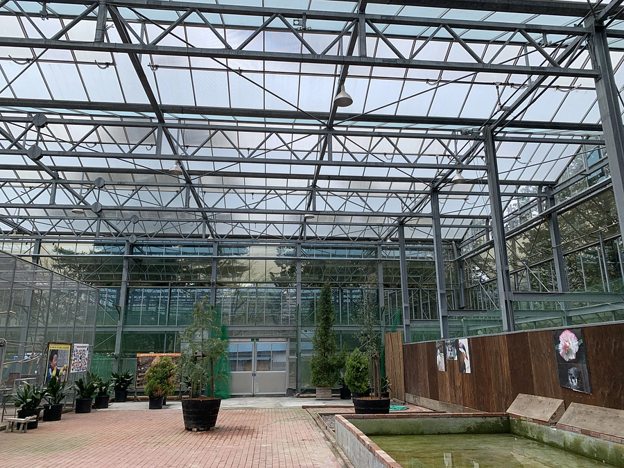 シンボルツリーが南の鳥ふれあいエリアに設置されました!