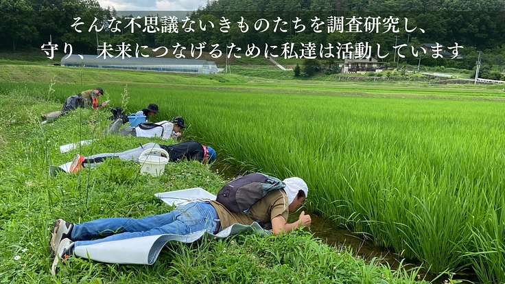 森の宝「ヤマネ」を守る。いきもの達が棲む豊かな未来をみんなで作ろう 5枚目