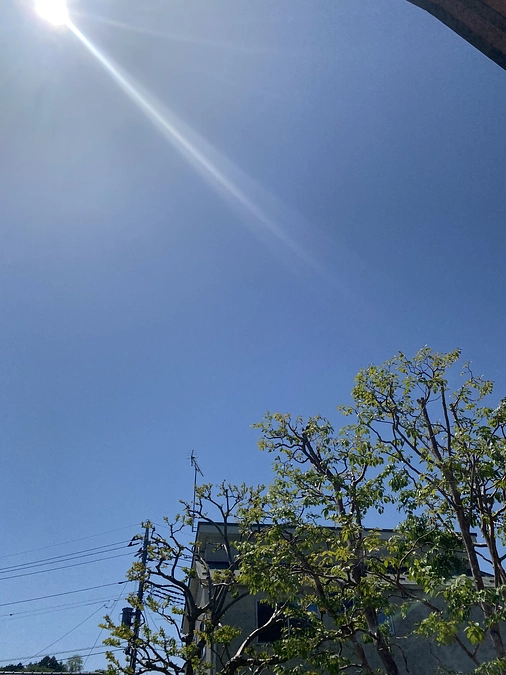 こどもの日ですね。