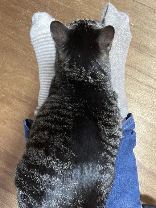 ありがとうございます^_^